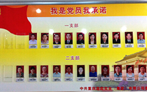 AG尊时凯龙人生就博官方网站集团党委开展党员承诺活动